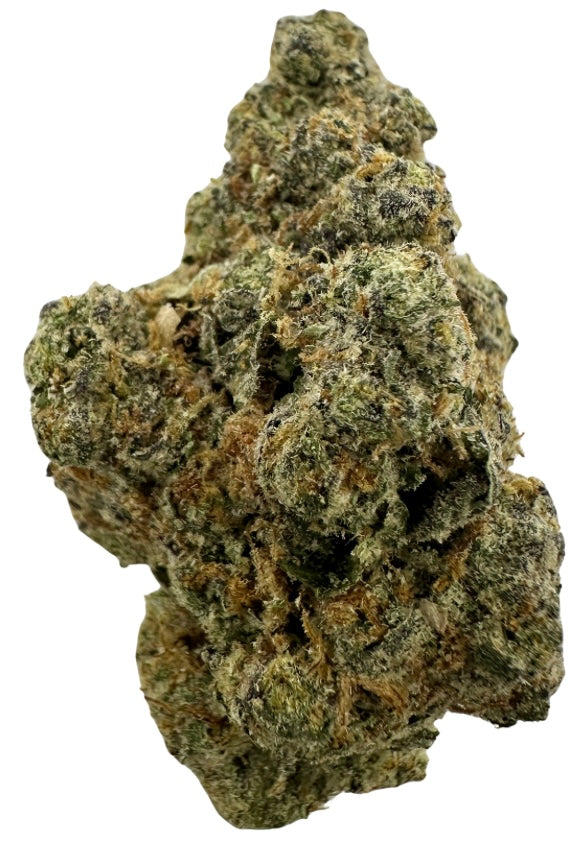 Da Vinci Code (Sativa)