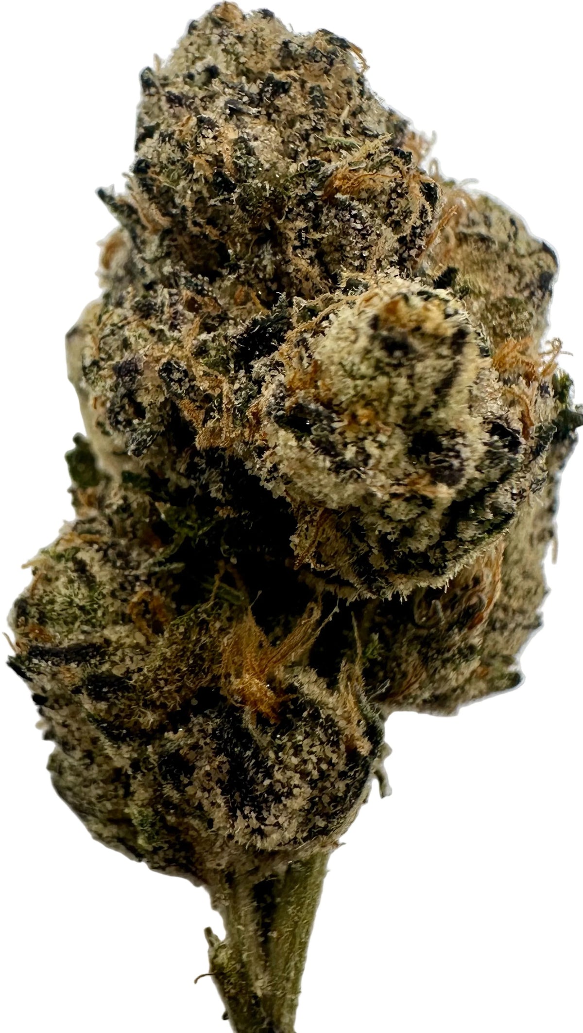 Blue Nerds (Hybrid/Indica)