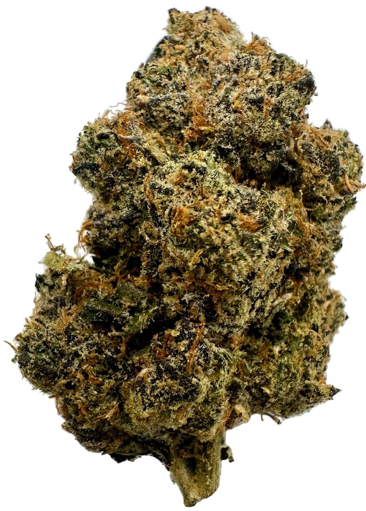 Ben & Cherries (Hybrid/50-50)