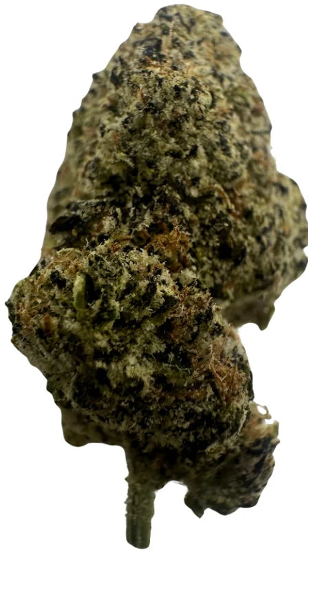 Torpedo (Hybrid/Indica)