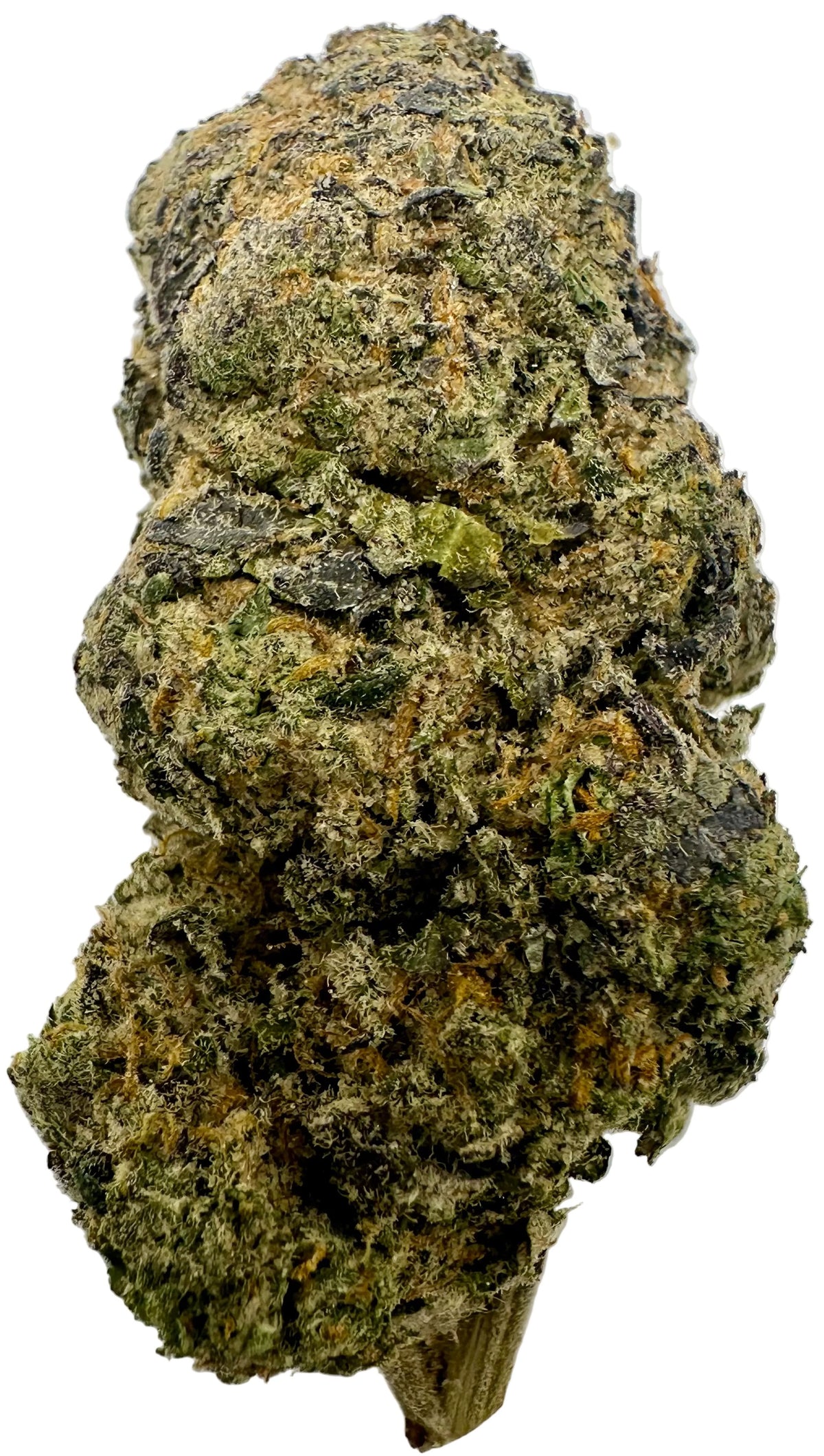 Thin Mint (Hybrid)
