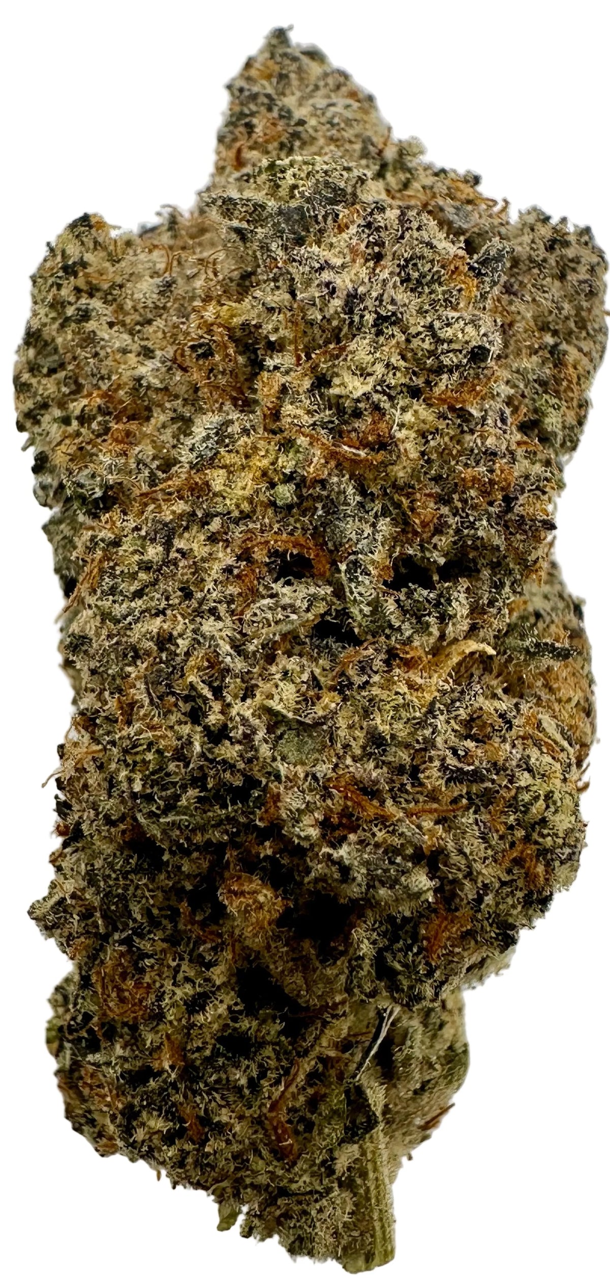 Gorilla Kush (Hybrid/Indica)
