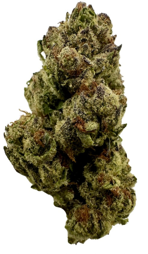 Milk Party (Hybrid/50-50)