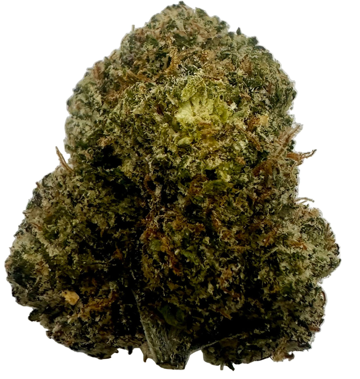 Coochie Runtz (Hybrid/Indica)