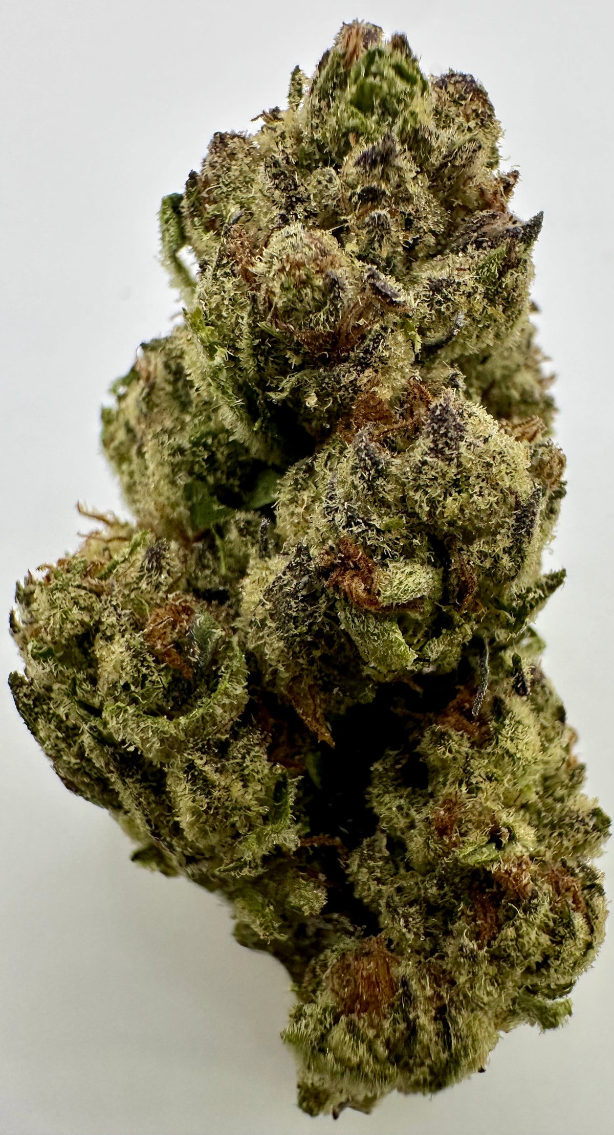 Milk Party (Hybrid/50-50)