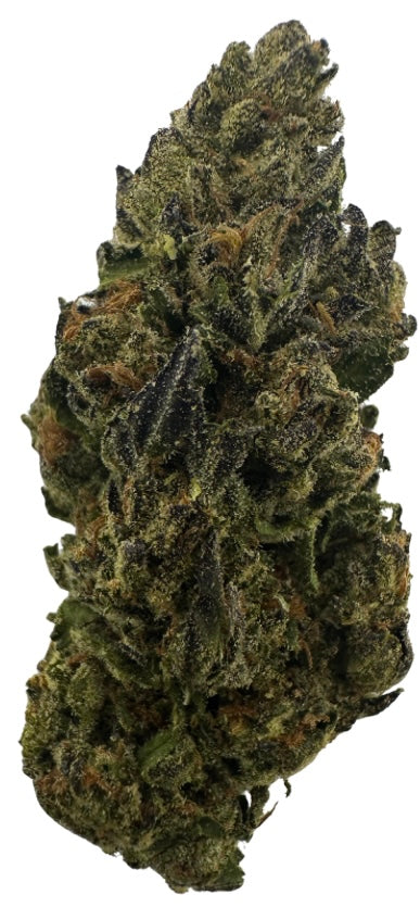 Crystal Coma (Hybrid/Sativa)