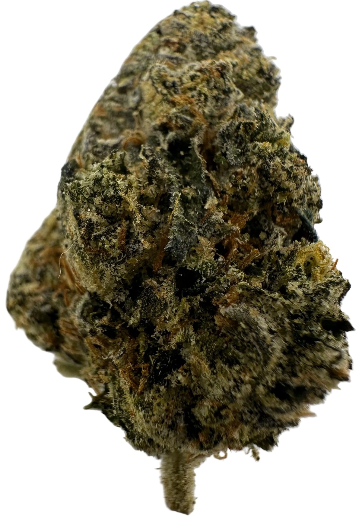 Lemon Cherry Zkittles (Hybrid/50-50)