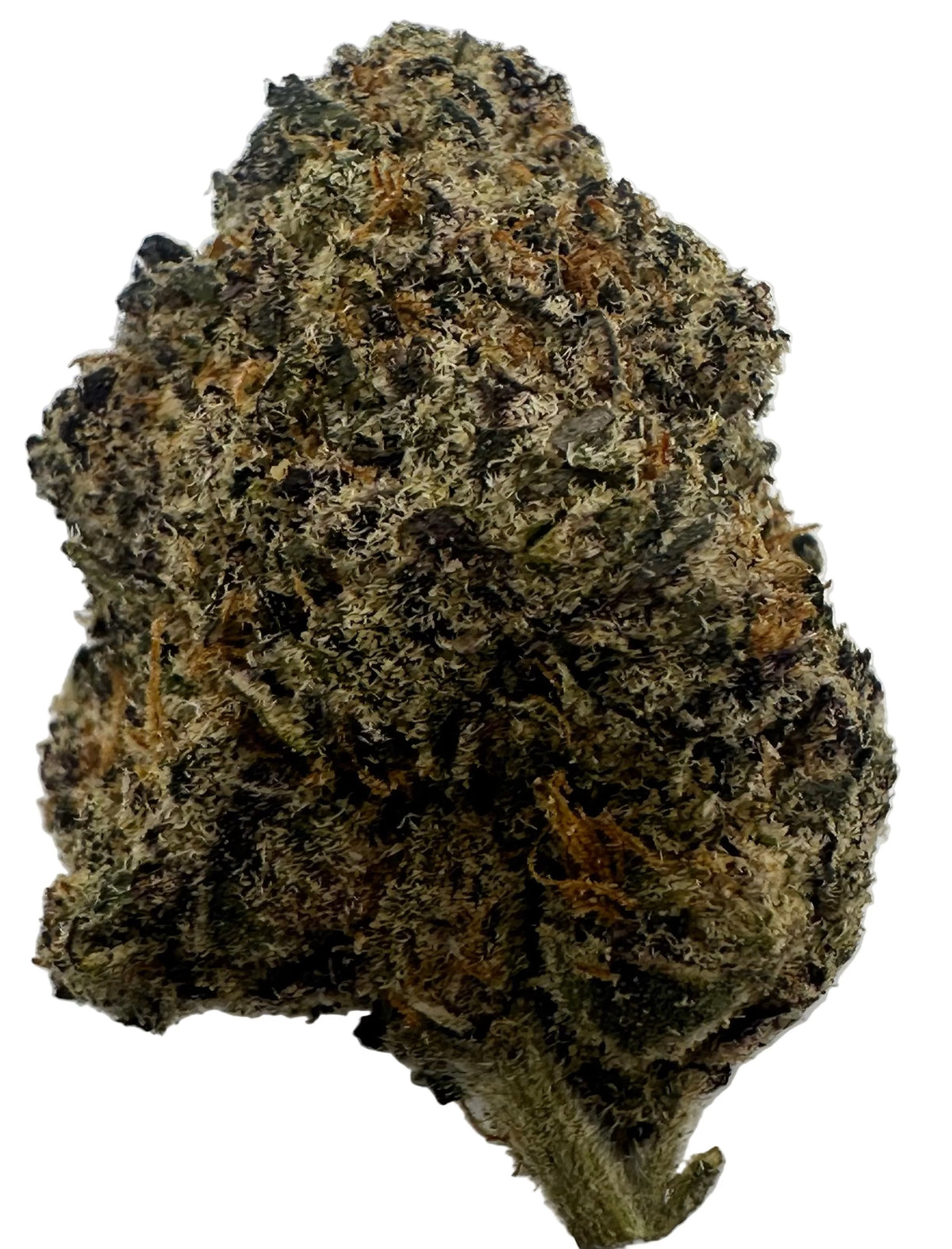 Candy Paint (Hybrid/50-50)
