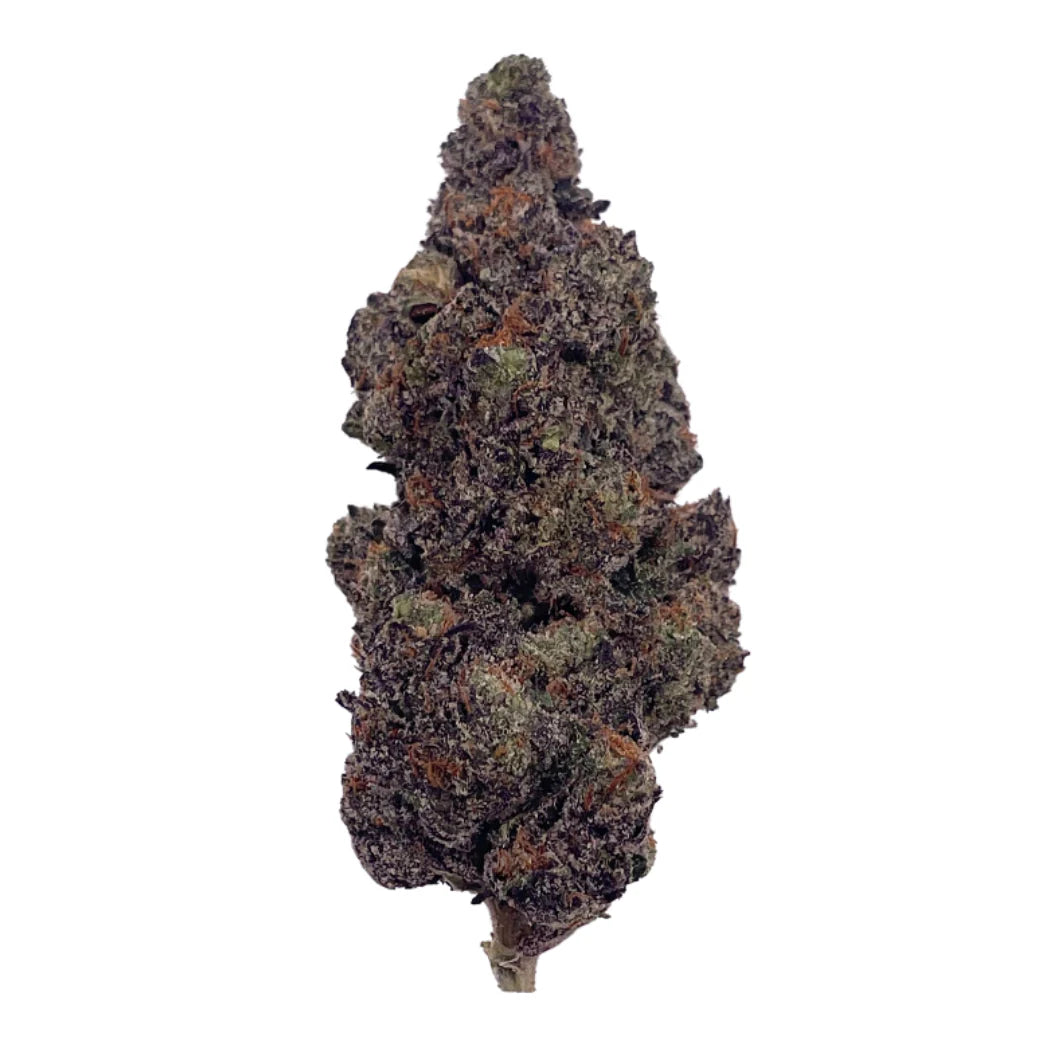 Gelato: Hybrid